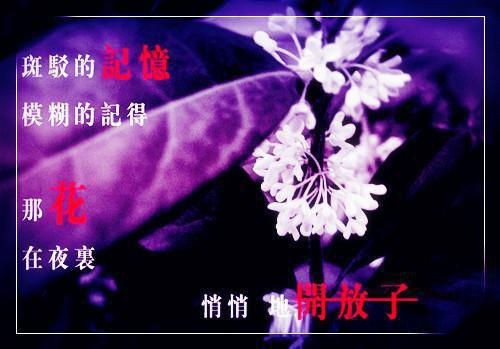 一些心情不好的伤感句子