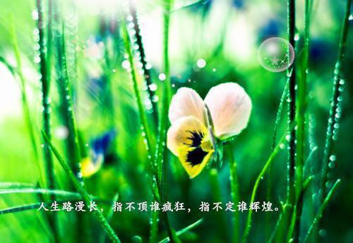 梦想感动句子