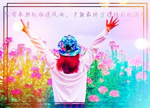 熬夜后，我穿书了破阵小说全文免费阅读