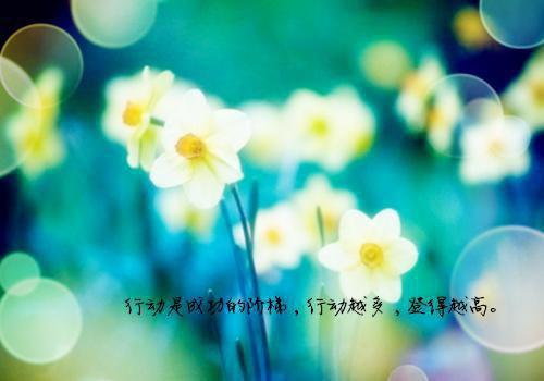 旧时故人皆是梦蒋红玲沈远征小说_旧时故人皆是梦免费阅读