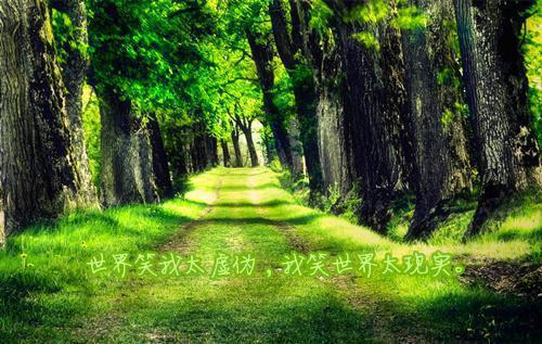 蜜汁名言小说全文免费阅读(谢舟青周雾灵)全文免费谢舟青周雾灵读无弹窗大结局_ 谢舟青周雾灵免费谢舟青周雾灵读最新章节列表_笔趣阁（蜜汁名言小说）