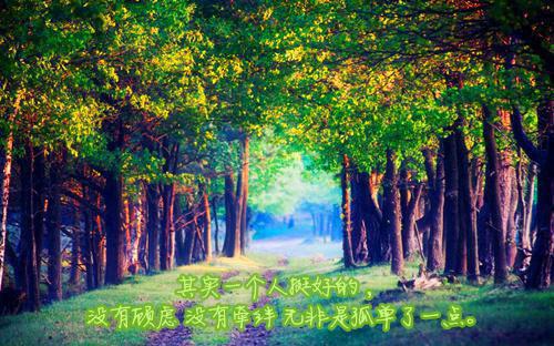 《黄河绝恋》观后感1000字