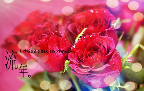 初中生品德操行评语