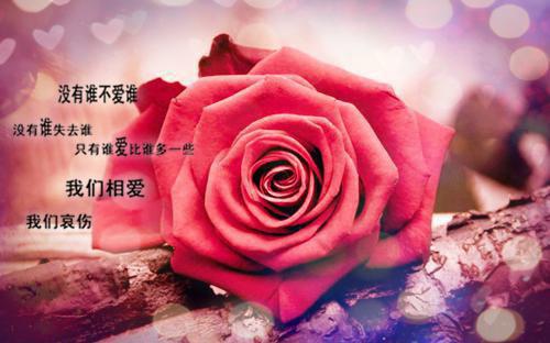 80大寿祝贺词