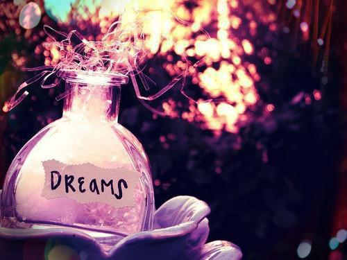 (番外)+(全文)重回穿越到原始部落这天,闺蜜抢先选了狼人:结局+番外+完结(付欣欣林悦)完整全文在线阅读_重回穿越到原始部落这天,闺蜜抢先选了狼人:结局+番外+完结免费阅读最新章节列表_笔趣阁(付欣欣林悦)