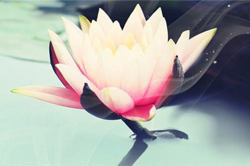 关于热爱家乡的散文