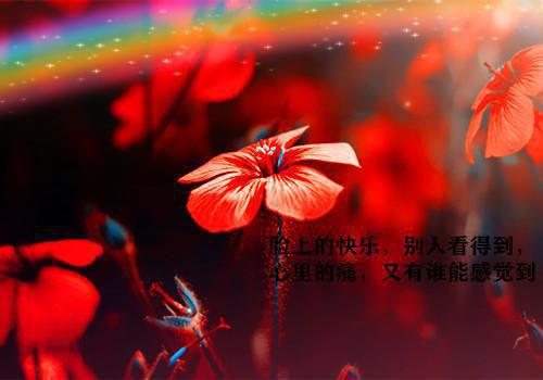 她亲手给了他刺向我的利刃，却不信我的死讯完本在线小说免费阅读