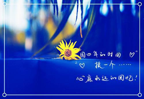 一别再无晨曦暮色：全文+后续+结局爱恨纠葛全文阅读（时砚璟乔青禾）最新章节_一别再无晨曦暮色：全文+后续+结局爱恨纠葛全文阅读
