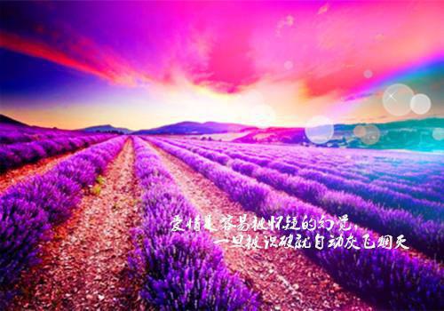 淡月微云皆是梦：结局+番外（顾清黎雨棠）全文免费阅读无弹窗大结局_淡月微云皆是梦：结局+番外全文免费阅读_笔趣阁（顾清黎雨棠）