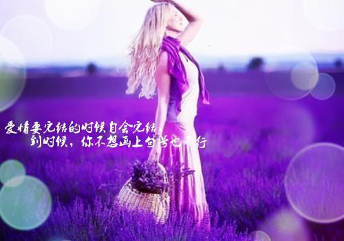 英语励志寓言：The Hare And The tortoise