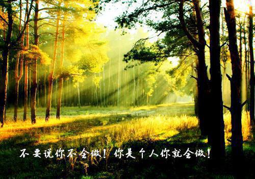 完结版小说楚晏珩秦渺第18章阅读