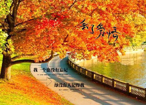 一个人孤独的爱情伤感个性签名 势均力敌的爱情才是好的爱情