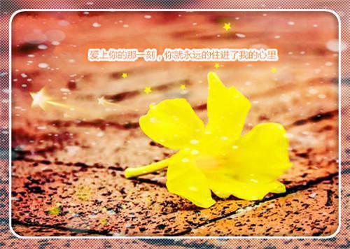 描写春天景色的诗句