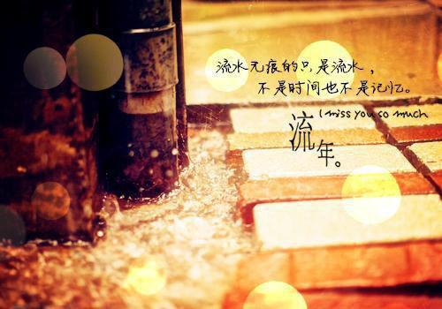 纵容小助理***队后，港城盛爷把家作没了盛淮小说_纵容小助理***队后，港城盛爷把家作没了免费阅读