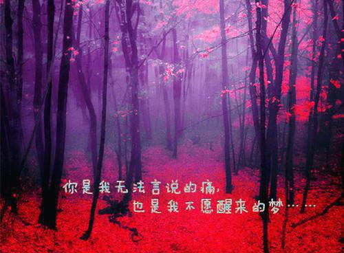 完结版小说沈淮北盛温柠 在线第1章阅读