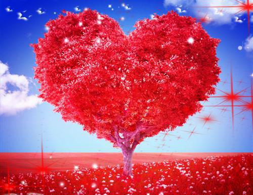 隋念安陈烟全文免费阅读无弹窗大结局_(彼岸与你对望隋念安陈烟:结局+番外)隋念安陈烟最新章节列表_笔趣阁(彼岸与你对望隋念安陈烟:结局+番外)