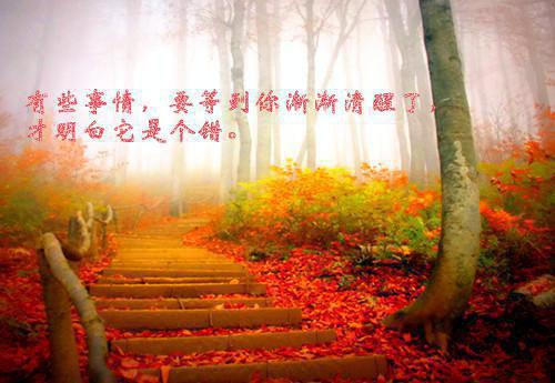 高中生运动会广播稿