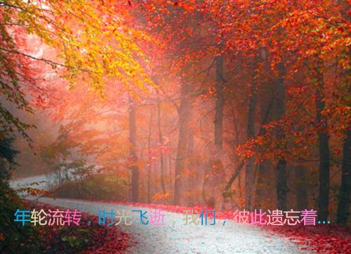 (番外)+(全文)婚痒:全文+番外下载阅读_(谢政屿乔温)婚痒:全文+番外最新章节列表_笔趣阁(谢政屿乔温)