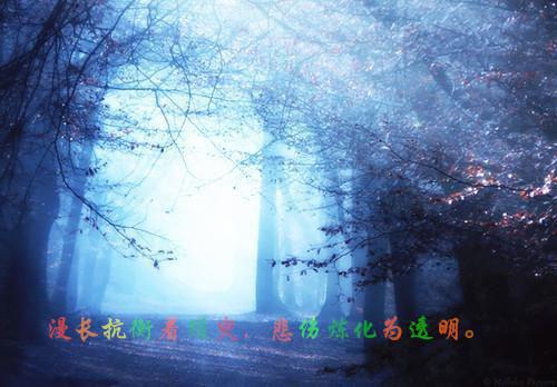 妈妈对孩子的评语