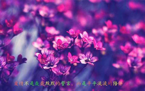 别人所拥有的你不必羡慕蕴含哲理的QQ个性签名