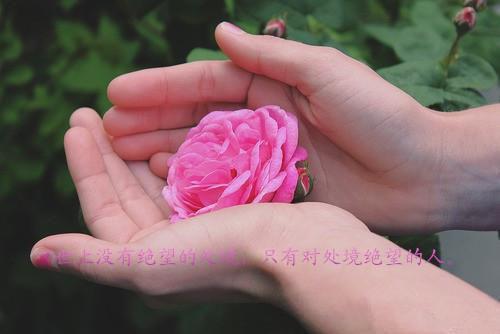 学习雷锋手抄报名言大全