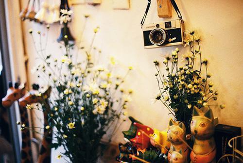 (番外)+(全文)假意玫瑰小说免费阅读下载阅读_(孟时婉陆皓琛)假意玫瑰小说免费阅读最新章节列表_笔趣阁（孟时婉陆皓琛）