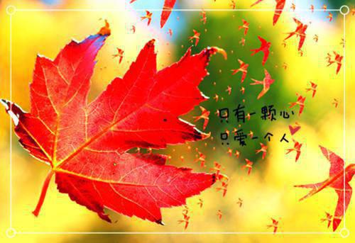 名人受挫折后成功的例子