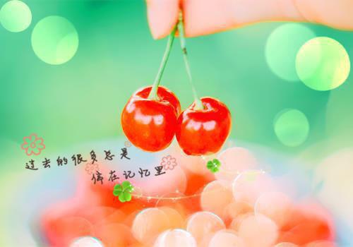 春暖花开朵朵向善美文欣赏