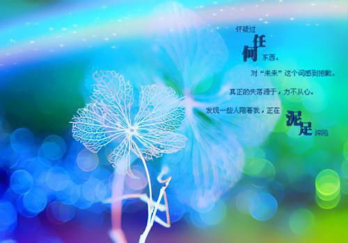 2023学年论文指导教师评语
