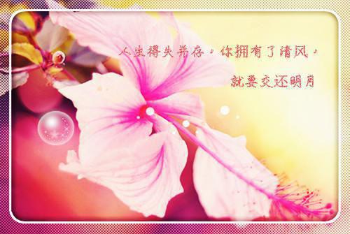 优美伤感的爱情散文欣赏
