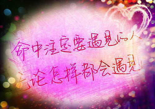 完结版小说沈小姐独美后，五个哥哥哭着求原谅第8章阅读