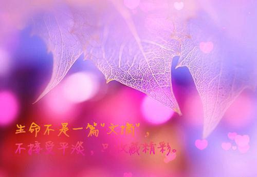 苏轻语许流年结局+番外:直到最后,女友才知我是京圈豪门小说全文免费阅读无弹窗大结局_苏轻语许流年全文最新章节列表_笔趣阁(直到最后,女友才知我是京圈豪门:结局+番外)