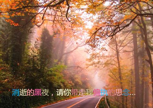 请不要火葬场免费裴云霄苏曼江南枝小说_请不要火葬场免费免费阅读