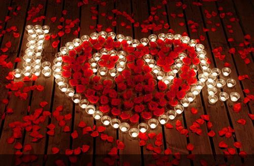 余琪宁的小说余琪宁梁青玄免费余琪宁,余小姐,那条全文阅读