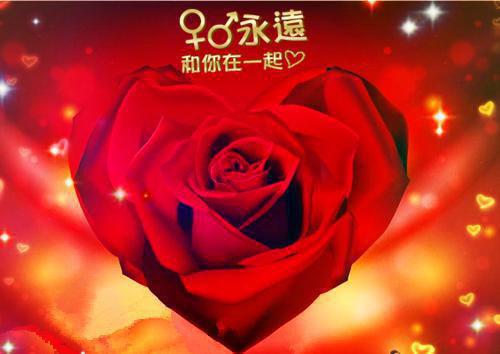 戴晴全章节_我在九零当相师小说阅读