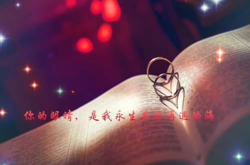 许你半生不见：完结+结局+番外沈易安顾晚江念（许你半生不见：完结+结局+番外）全文免费阅读无弹窗大结局_沈易安顾晚江念最新章节列表_笔趣阁（许你半生不见：完结+结局+番外）