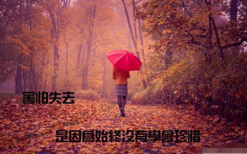 给小女生讲的睡前小故事文字版