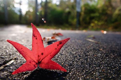 爱情 名言