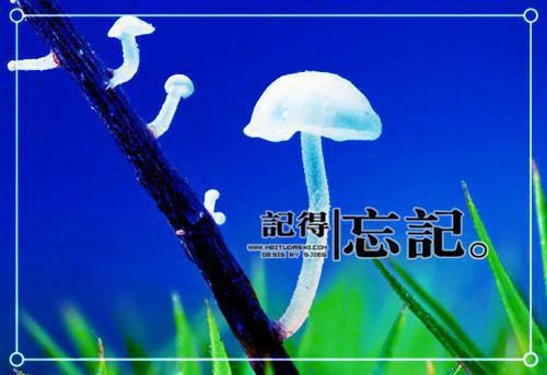 周一祝福短信集锦