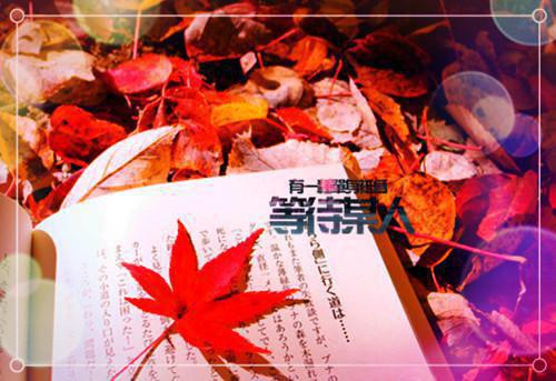 舒婷的励志诗