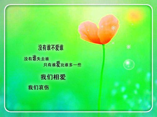 导师大学毕业生论文评语