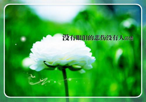 捡到一岁小福宝流放生活开挂了正版福宝小说全文免费阅读