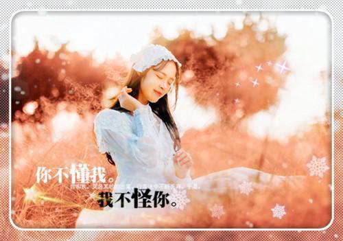 唯美的伤感意境句子