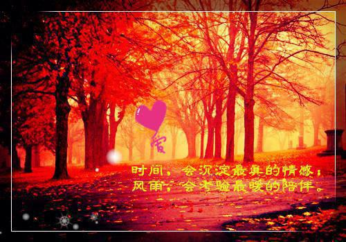感人话语句子