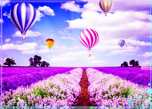 (番外)+(结局)洪熙珠白司言（现在拨打的电话：结局+番外）全文免费阅读无弹窗大结局_(洪熙珠白司言)最新章节列表_笔趣阁（现在拨打的电话：结局+番外）