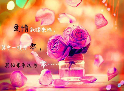 残灯照梦泪成冰：+后续+结局爱恨纠葛全文阅读（姜婉汐裴稷）最新章节_残灯照梦泪成冰：+后续+结局爱恨纠葛全文阅读