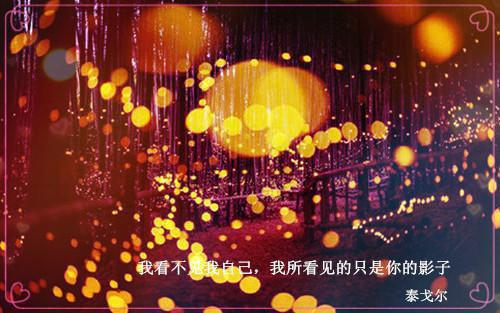 都是一,沈母,小钰全章节_白昼雨未停小说阅读