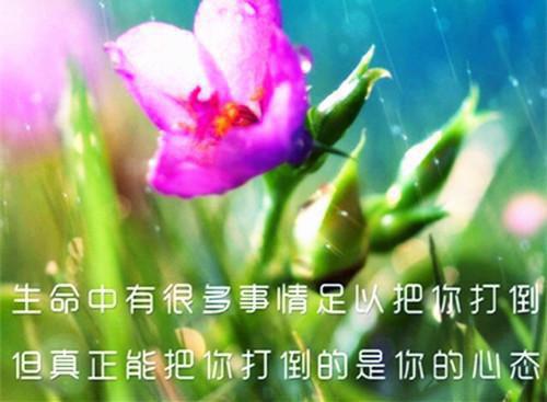 踹掉渣男后，我另寻新欢（合集）姜朵齐瑶周牧小说_踹掉渣男后，我另寻新欢（合集）完结版阅读
