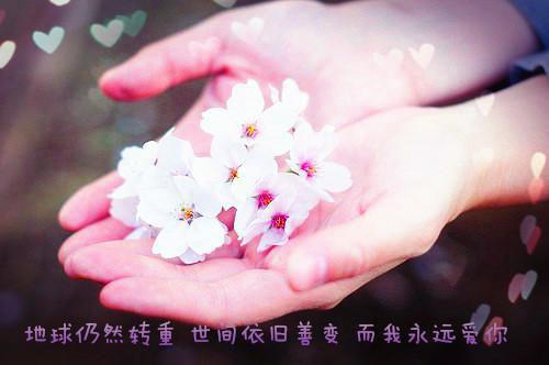 经典新婚祝福语集锦