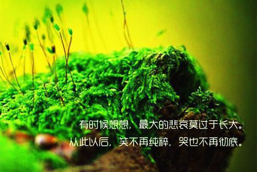 心情轻松的搞笑名言